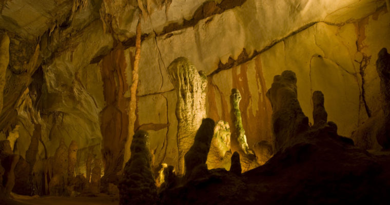 Coin cave Crypto Cavemen